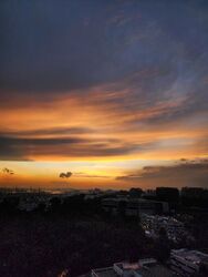 Normanton Park (D5), Apartment #458803571